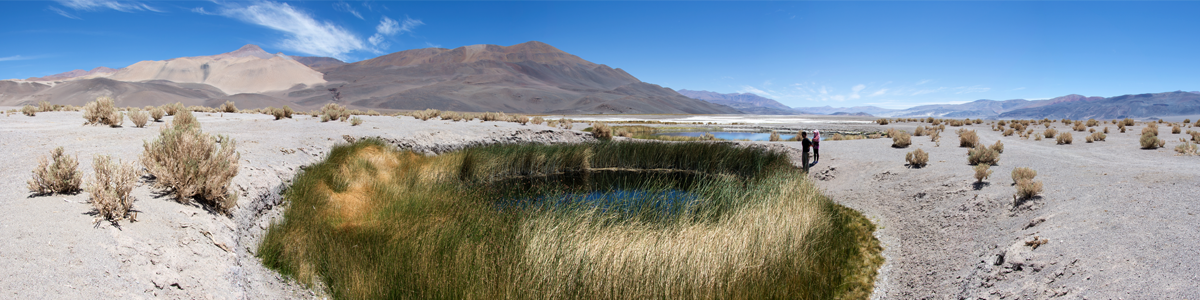 Catamarca - Ojo de agua Antofalla