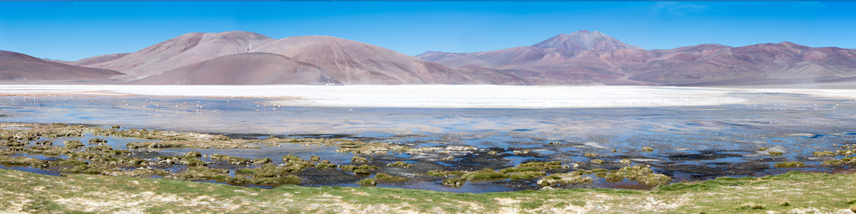 Catamarca - Laguna Blanca
