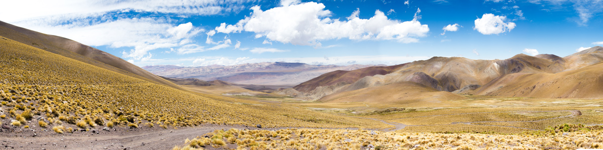Catamarca - Ruta al Pisis