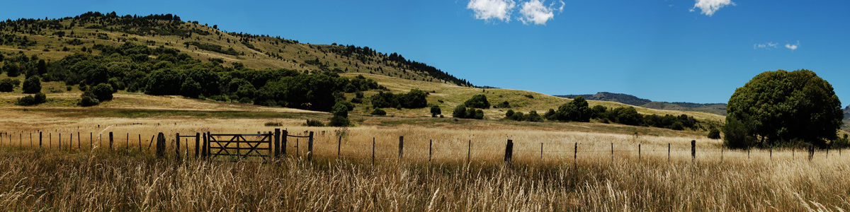 Patagonia - Junin de los Andes - Parque Nacional Lanin -