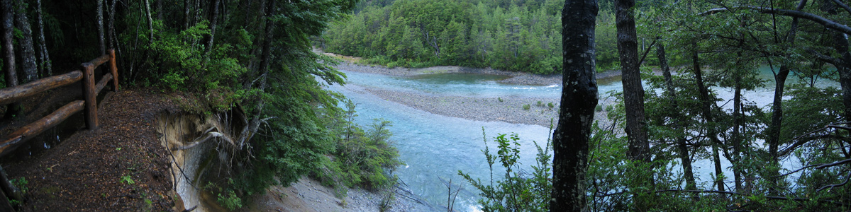 Patagonia - Esquel - Parque Nacional Los Alerces - Lago Menendez