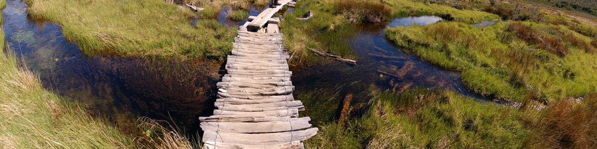 Patagonia - Chalten Senderos -