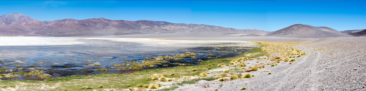 Catamarca - Laguna Blanca