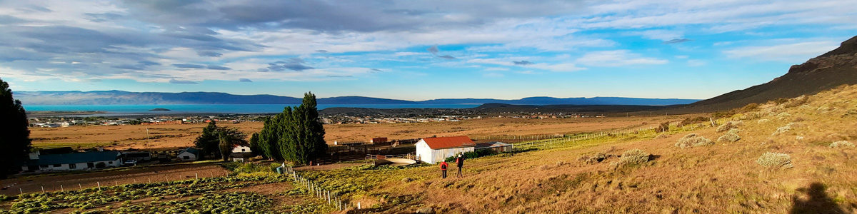 Patagonia - Estancia - Huyliche - El Calafate