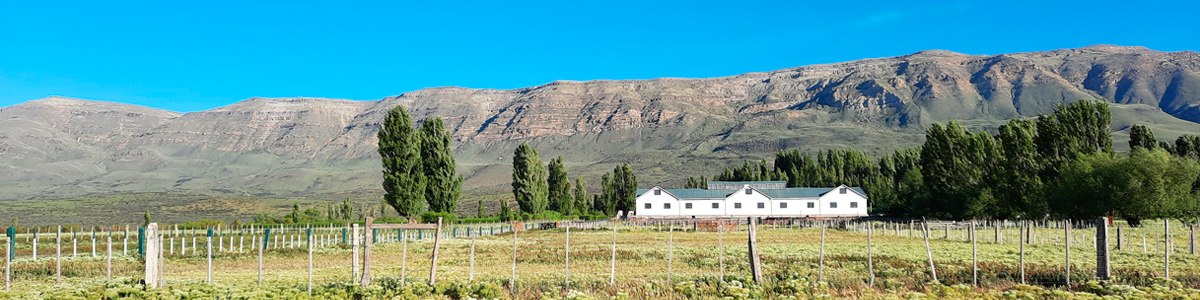 Patagonia - Estancia Anita - Santa Cruz