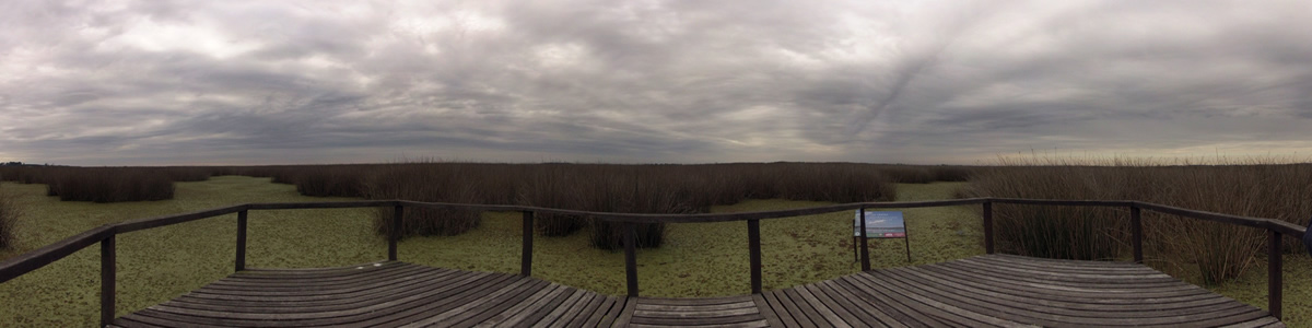Reserva Natural Otamendi - Laguna Grande